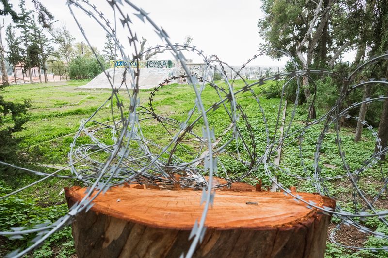 © Irina Vosgerau - Image from the Cactus photography project