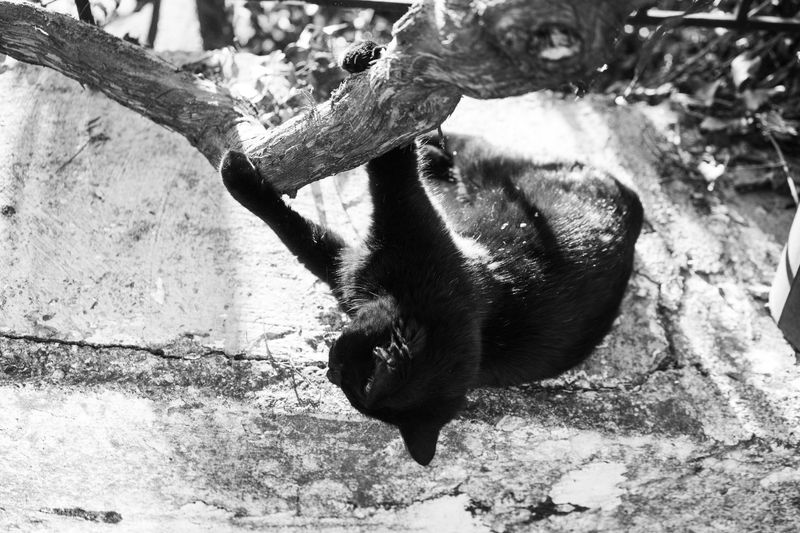 © Irina Vosgerau - Image from the Stranger than Paradise photography project