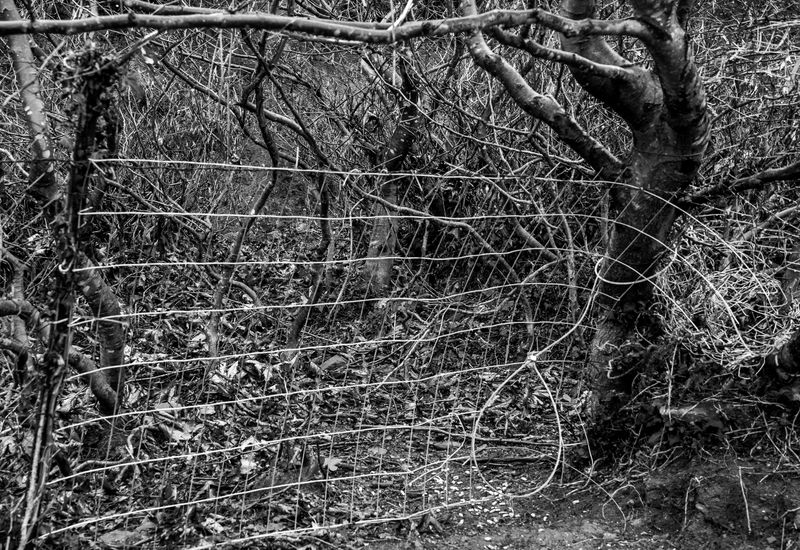 © Irina Vosgerau - Image from the Stranger than Paradise photography project