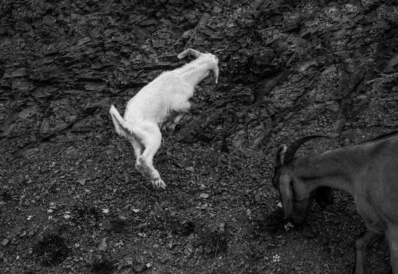 © Irina Vosgerau - Image from the Stranger than Paradise photography project