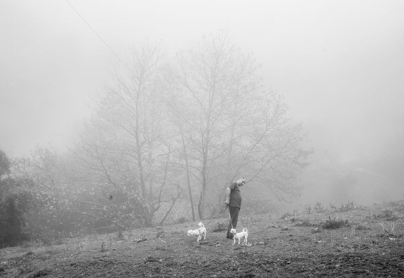 © Irina Vosgerau - Image from the Stranger than Paradise photography project