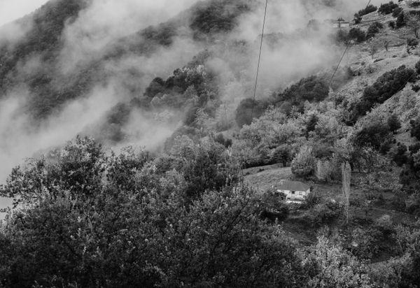 © Irina Vosgerau - Image from the Stranger than Paradise photography project