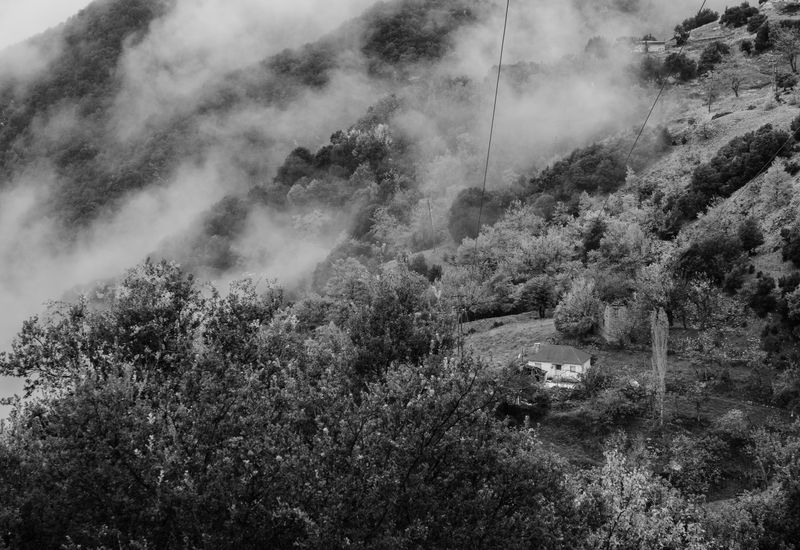 © Irina Vosgerau - Image from the Stranger than Paradise photography project