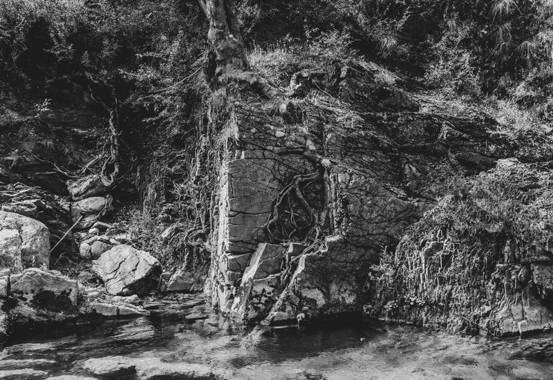 © Irina Vosgerau - Image from the Stranger than Paradise photography project