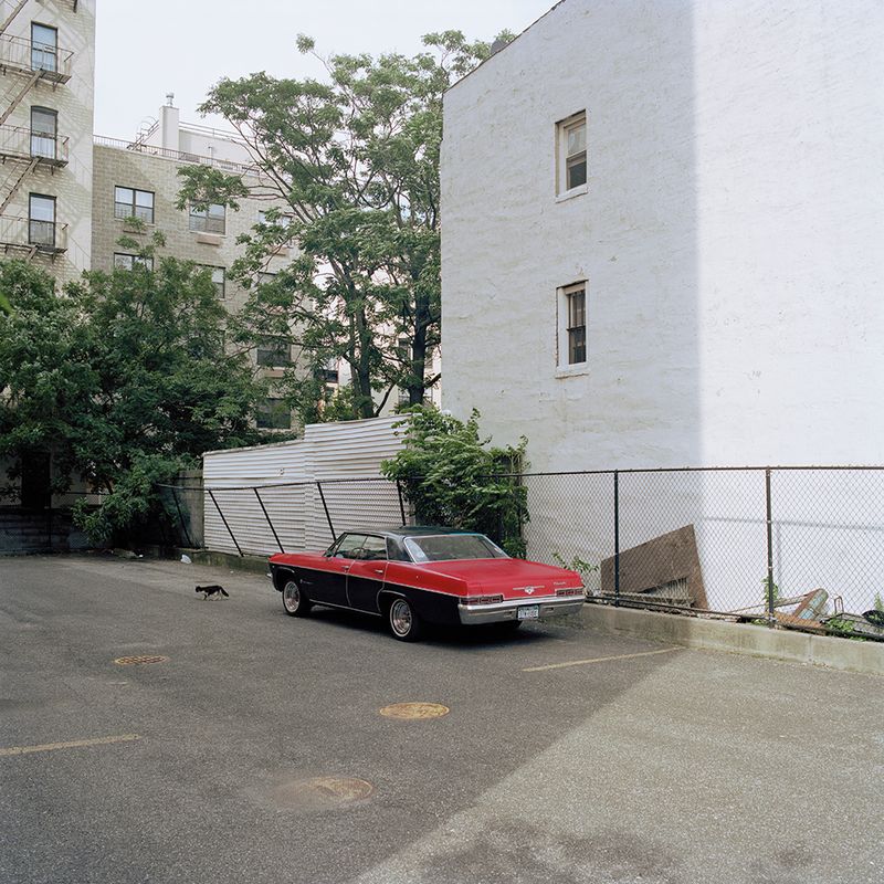 © Louise Amelie - SOLE HARLEM