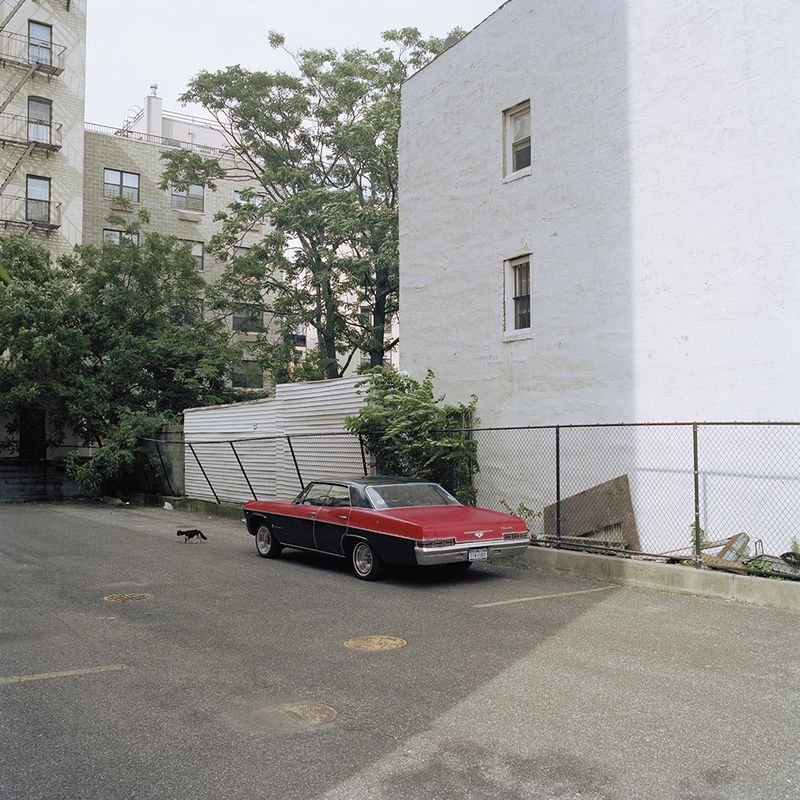 © Louise Amelie - SOLE HARLEM