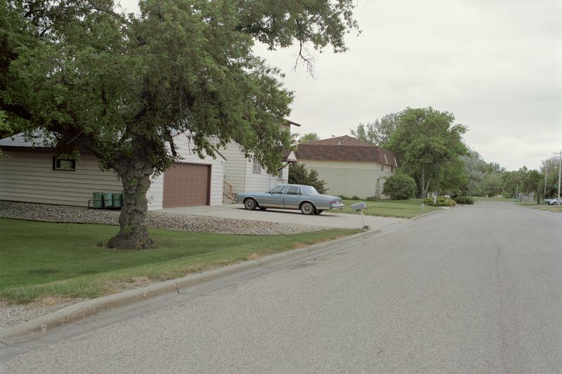 © Louise Amelie - "Suburban Idyll"