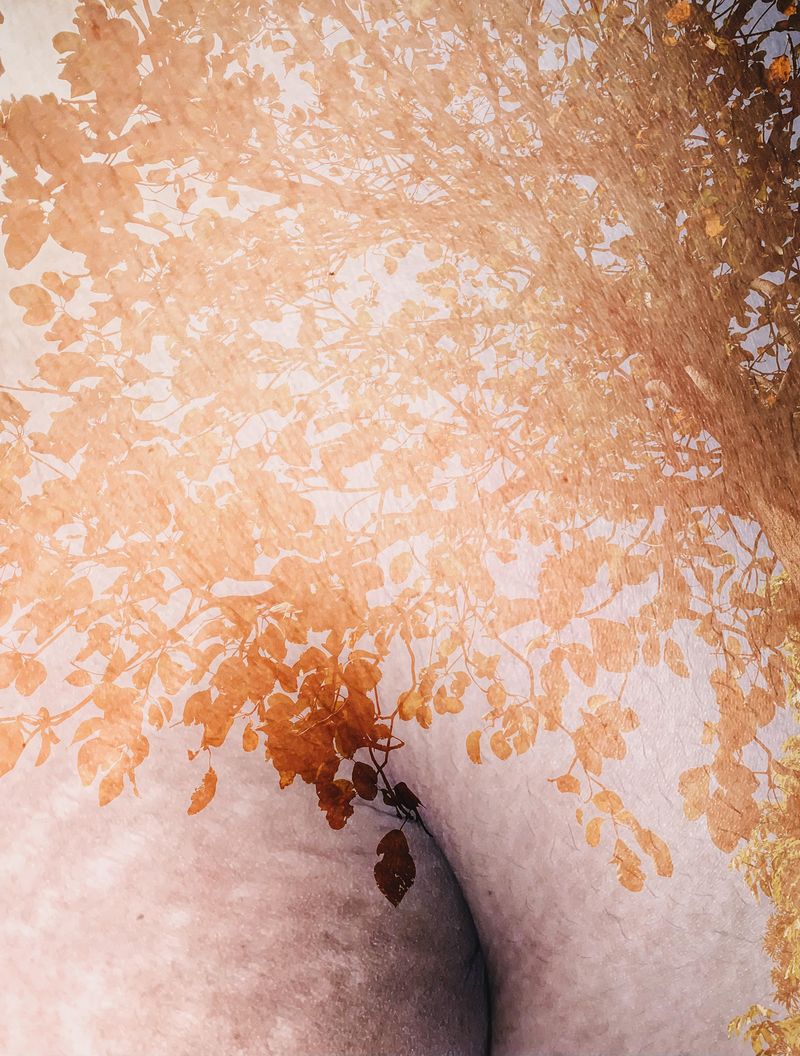 © Ashima Raizada - something to do with autumn