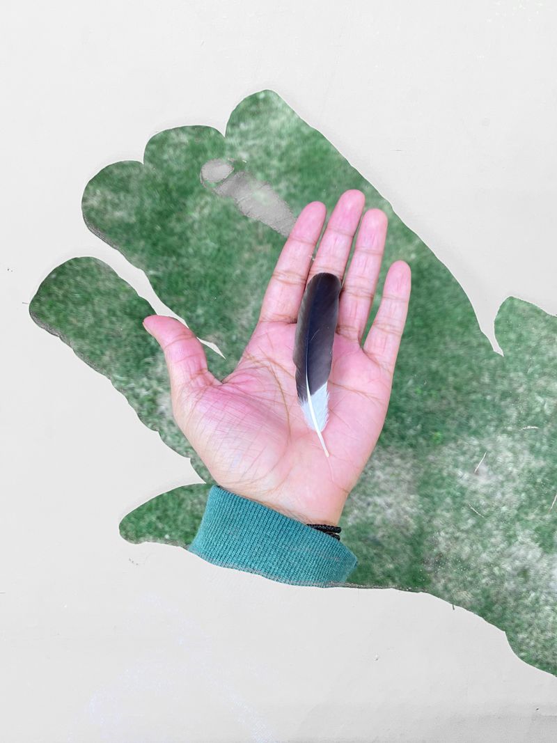 © Ashima Raizada - Alternative existence