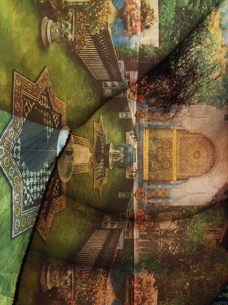 © Ashima Raizada - Body as a garden