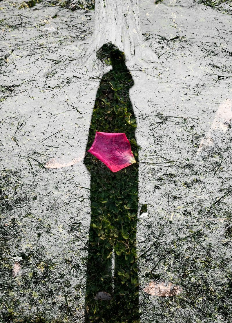 © Ashima Raizada - People and trees( I miss being in nature)