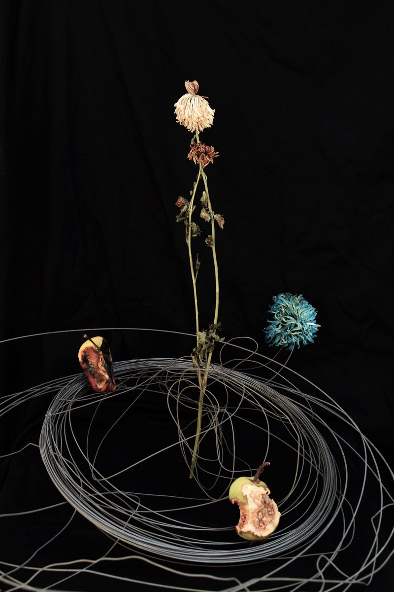 © Ashima Raizada - Untitled