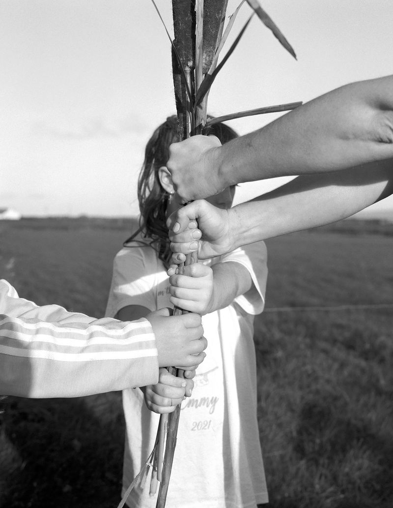 © Marysa Dowling - Sandy Lane