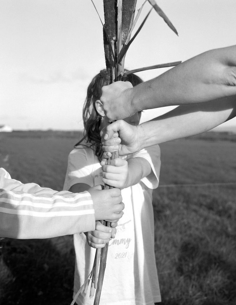 © Marysa Dowling - Sandy Lane