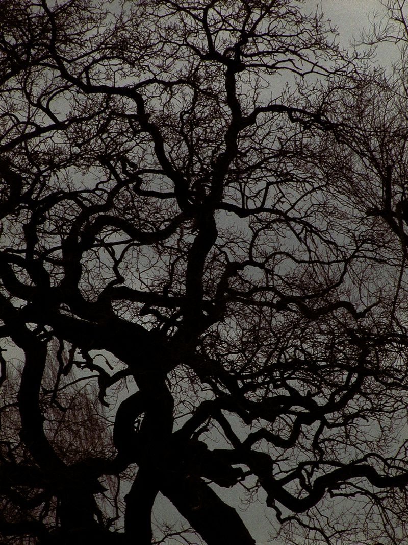 © Uta Genilke - Image from the KOMM NÄHER (Come Closer) photography project