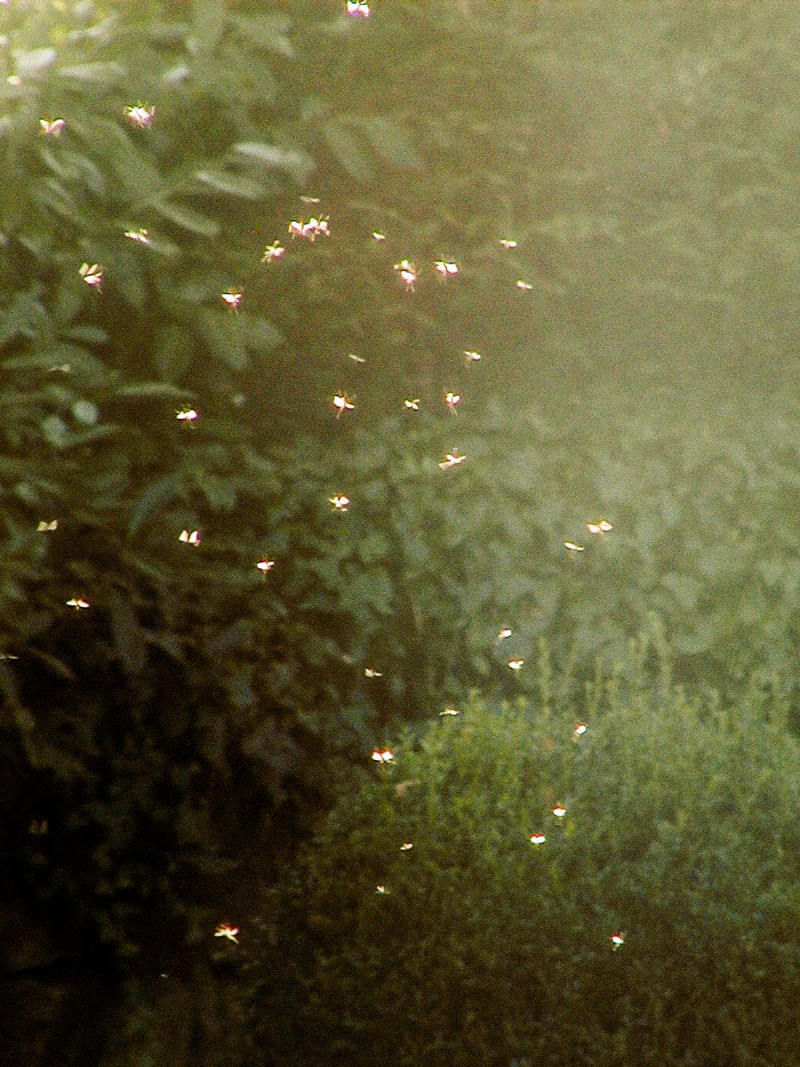 © Uta Genilke - Image from the KOMM NÄHER (Come Closer) photography project