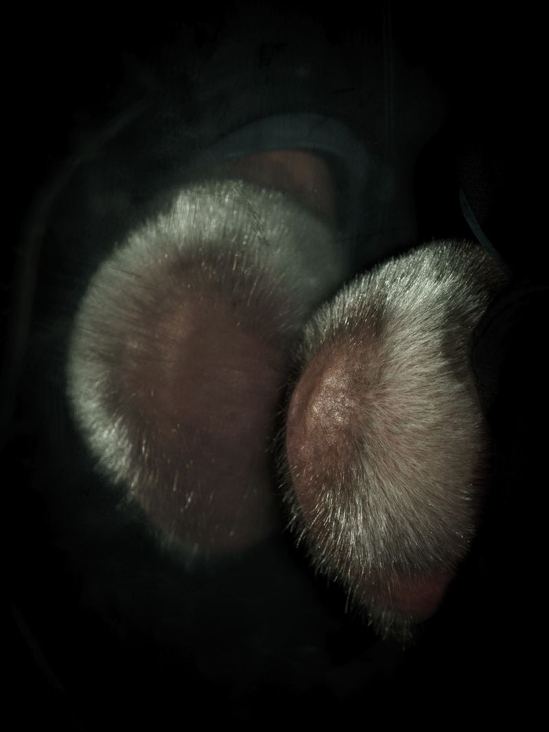 © Uta Genilke - Image from the KOMM NÄHER (Come Closer) photography project