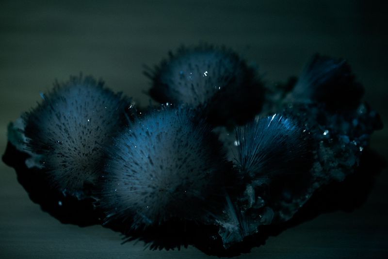 © Uta Genilke - Image from the RAUHNACHT photography project