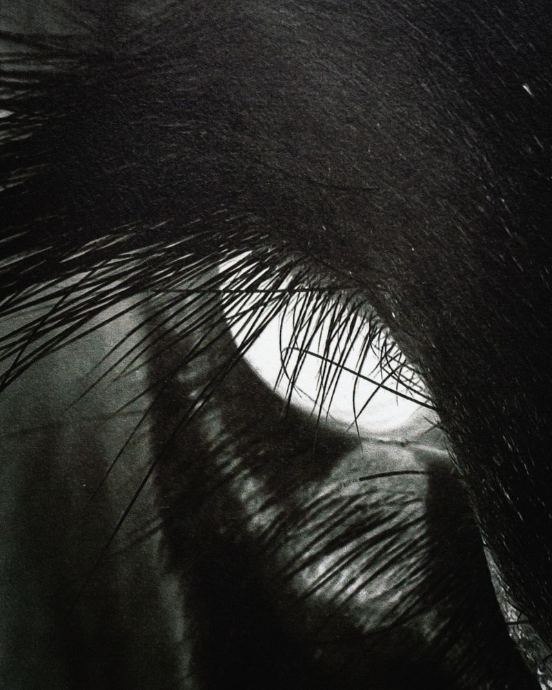 © Uta Genilke - Image from the RAUHNACHT photography project