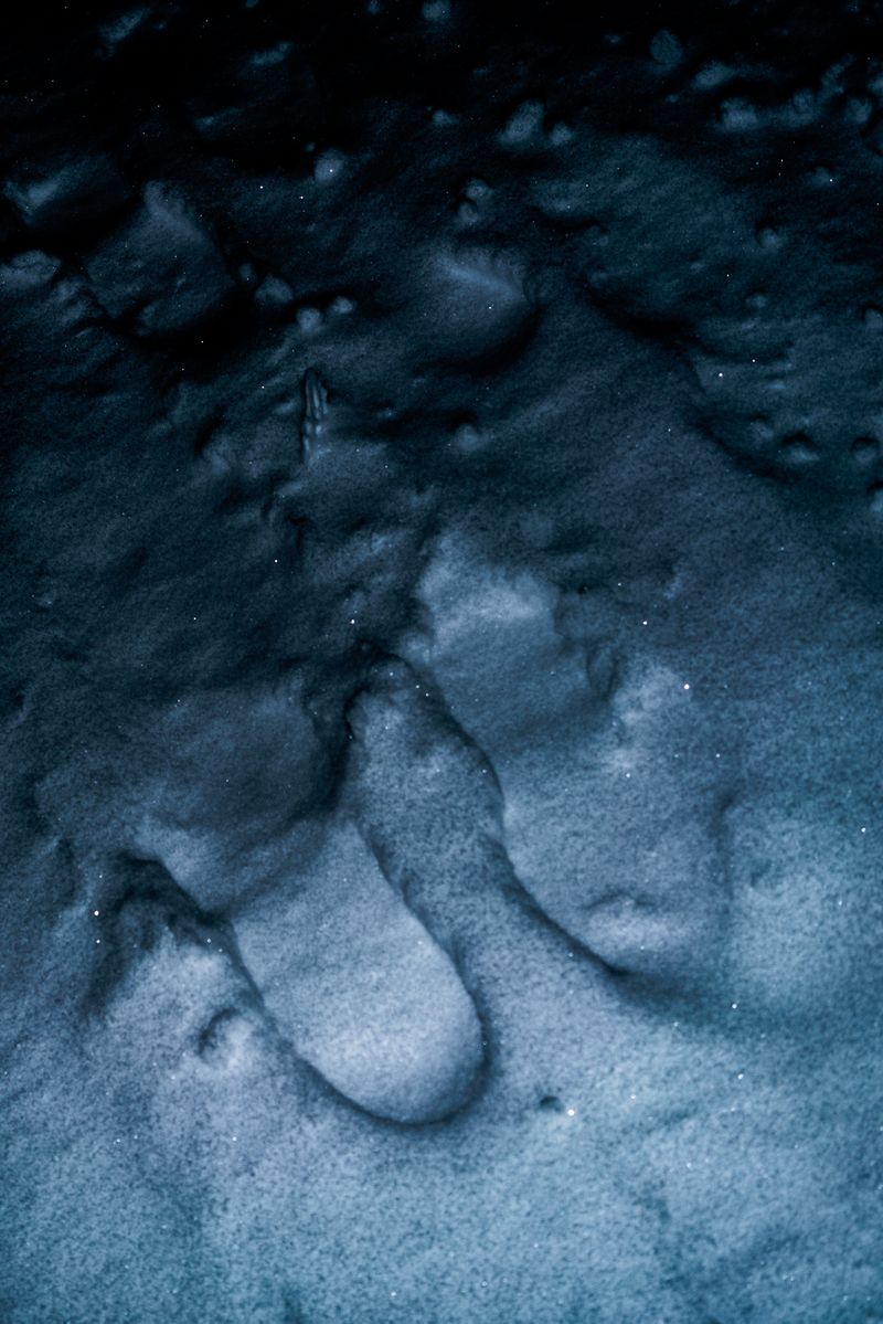 © Uta Genilke - Image from the RAUHNACHT photography project