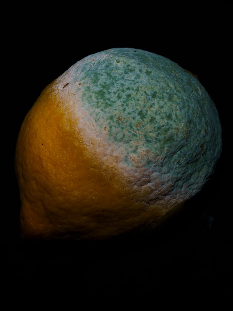 © Uta Genilke - Image from the My Mother's Garden photography project