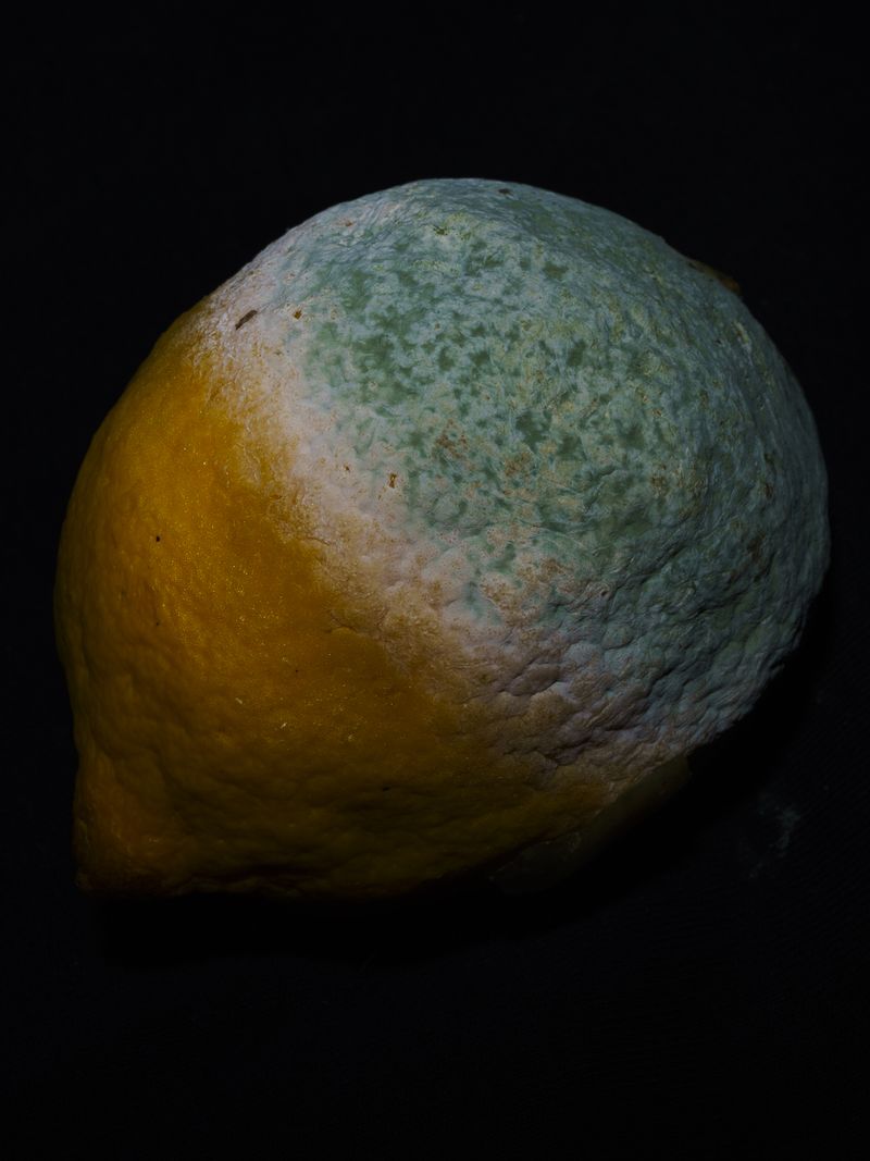 © Uta Genilke - Image from the My Mother's Garden photography project