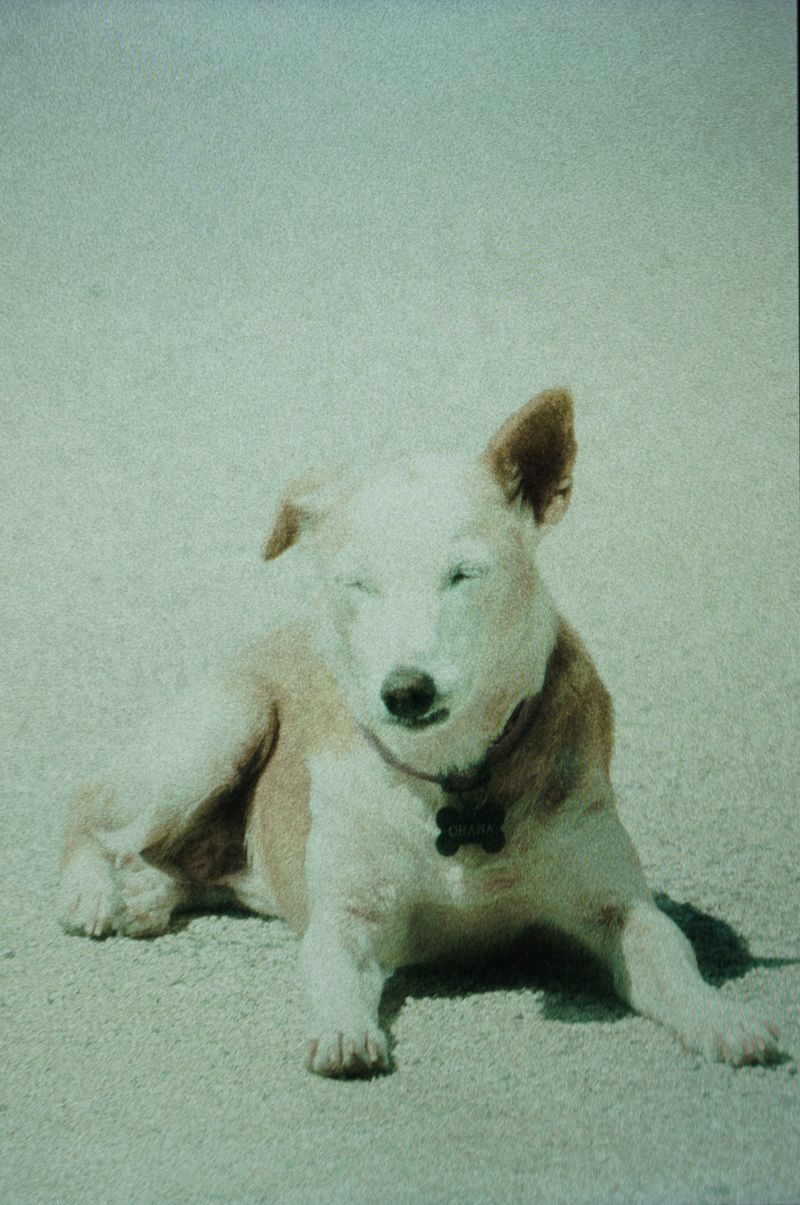 © Uta Genilke - Image from the My Mother's Garden photography project