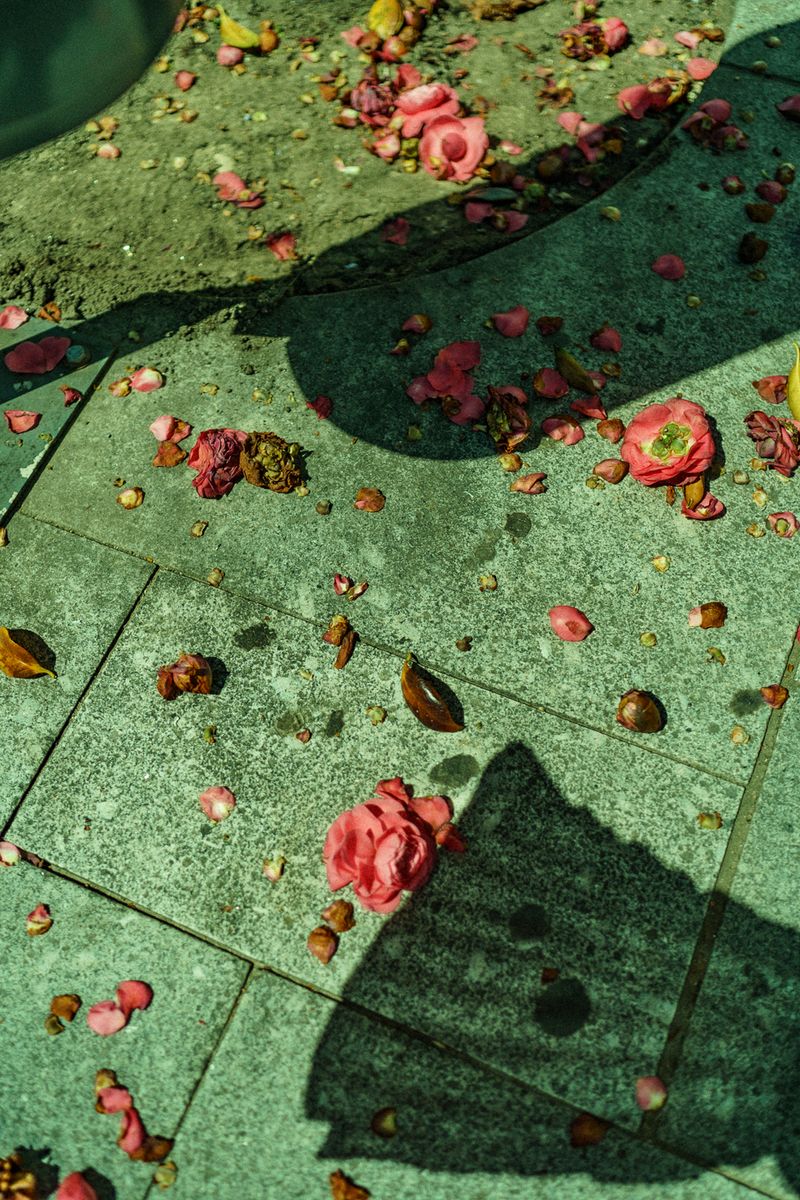 © Uta Genilke - Image from the My Mother's Garden photography project