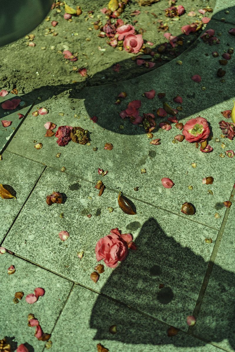 © Uta Genilke - Image from the My Mother's Garden photography project
