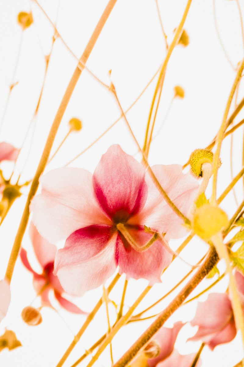 © Uta Genilke - Image from the My Mother's Garden photography project