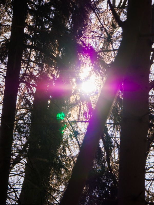 © Uta Genilke - Image from the My Mother's Garden photography project