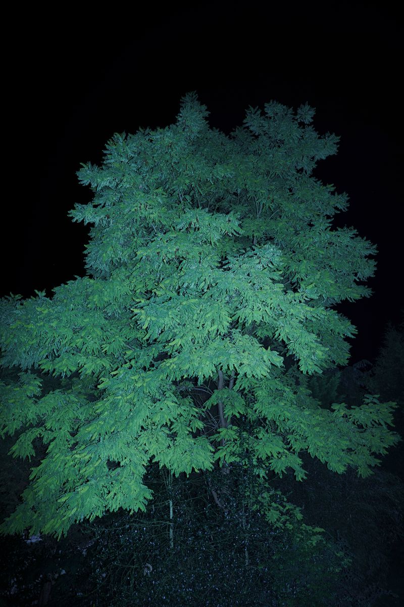 © Uta Genilke - Image from the My Mother's Garden photography project