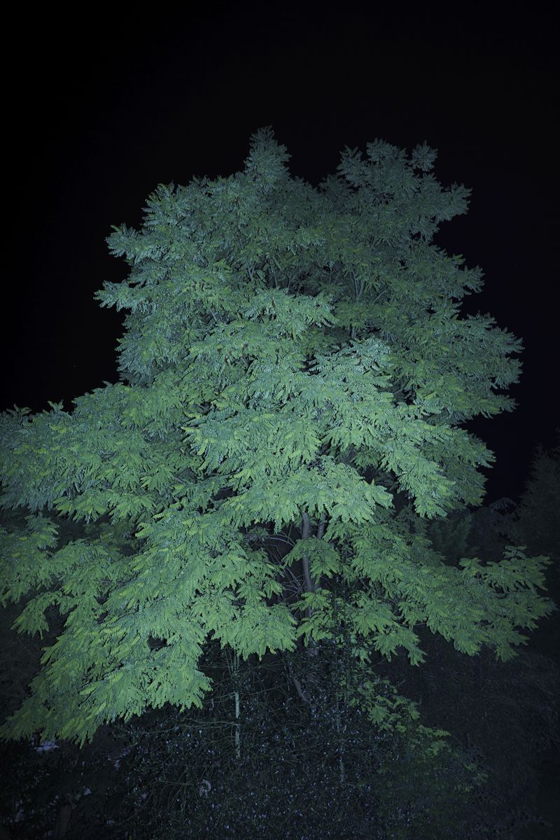 © Uta Genilke - Image from the My Mother's Garden photography project