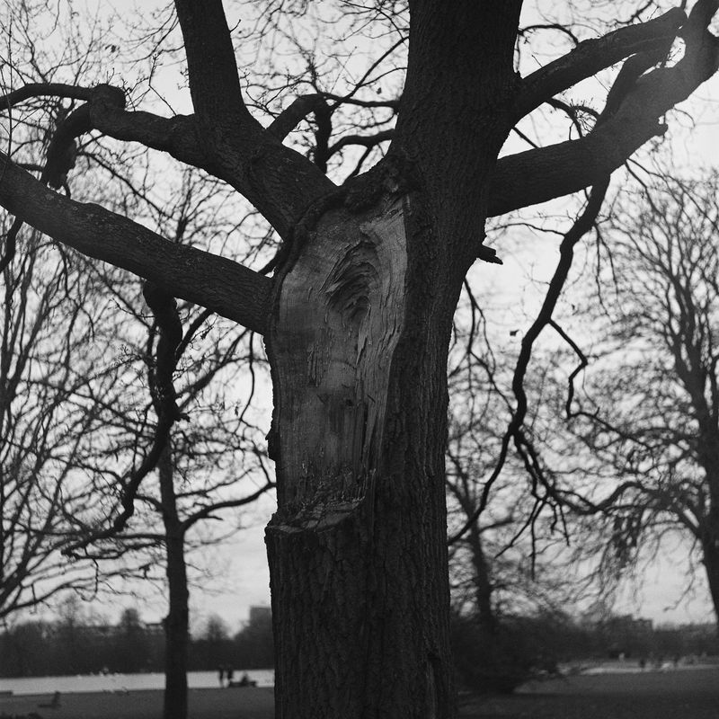 © Hong Jiyoung - Image from the Chronic Victim photography project