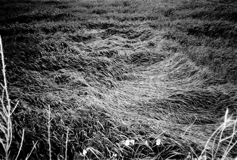 © Hong Jiyoung - Image from the Chronic Victim photography project