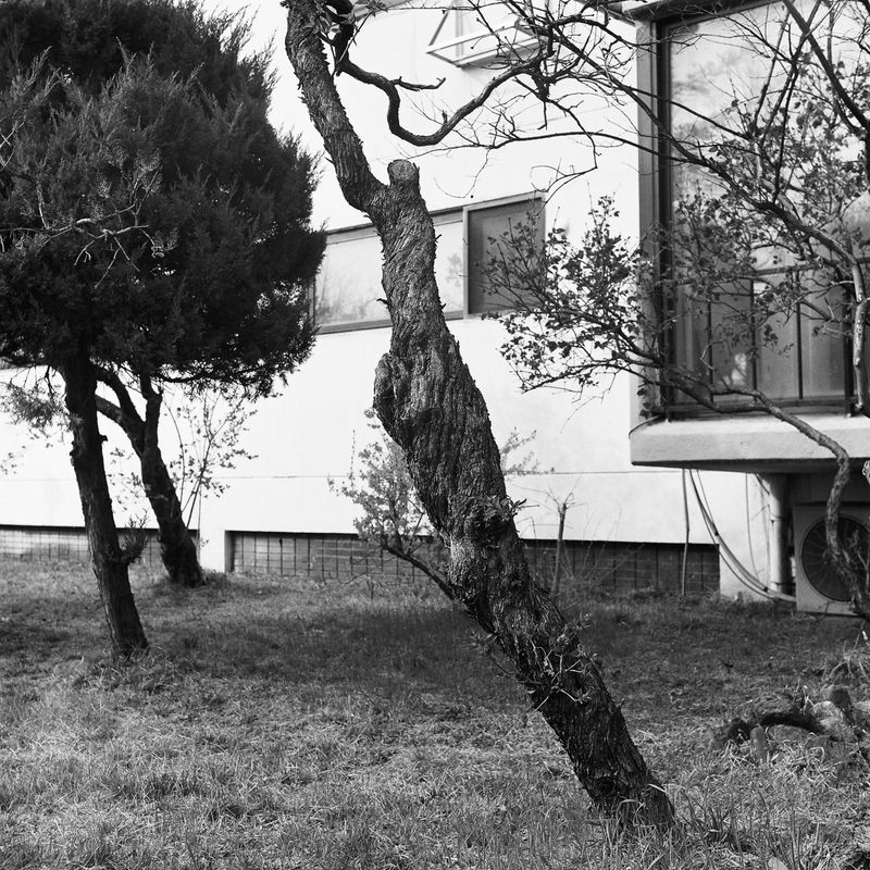 © Hong Jiyoung - Image from the Chronic Victim photography project