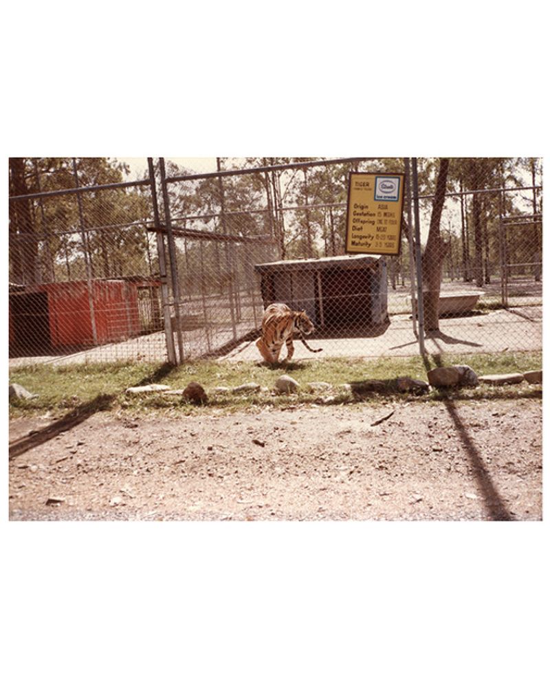 © Katrin Koenning - Image from the Dear Chris photography project