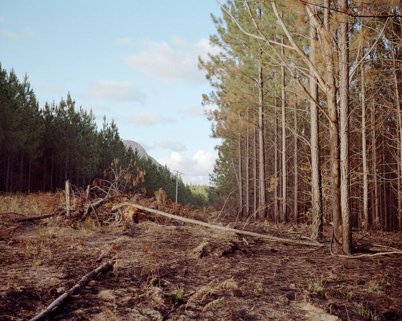 © Katrin Koenning - Image from the Dear Chris photography project