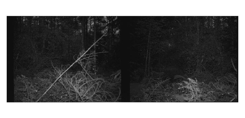 © Katrin Koenning - Image from the Dear Chris photography project