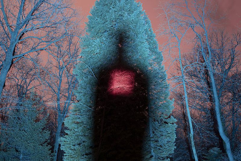 © Giacomo Infantino - Image from the Preja Büia photography project