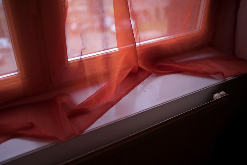 © Nik Roche - Image from the The Budgie Died Instantly photography project