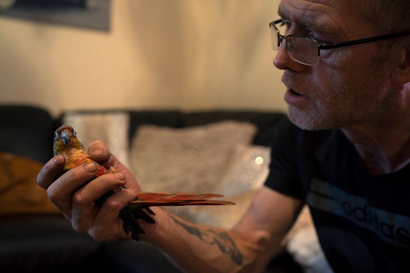 © Nik Roche - Image from the The Budgie Died Instantly photography project