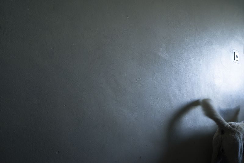 © Nik Roche - Image from the it's hard to report a stolen bike, stolen. photography project