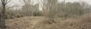 Traces : Landscapes in transition on the Yellow River Basin