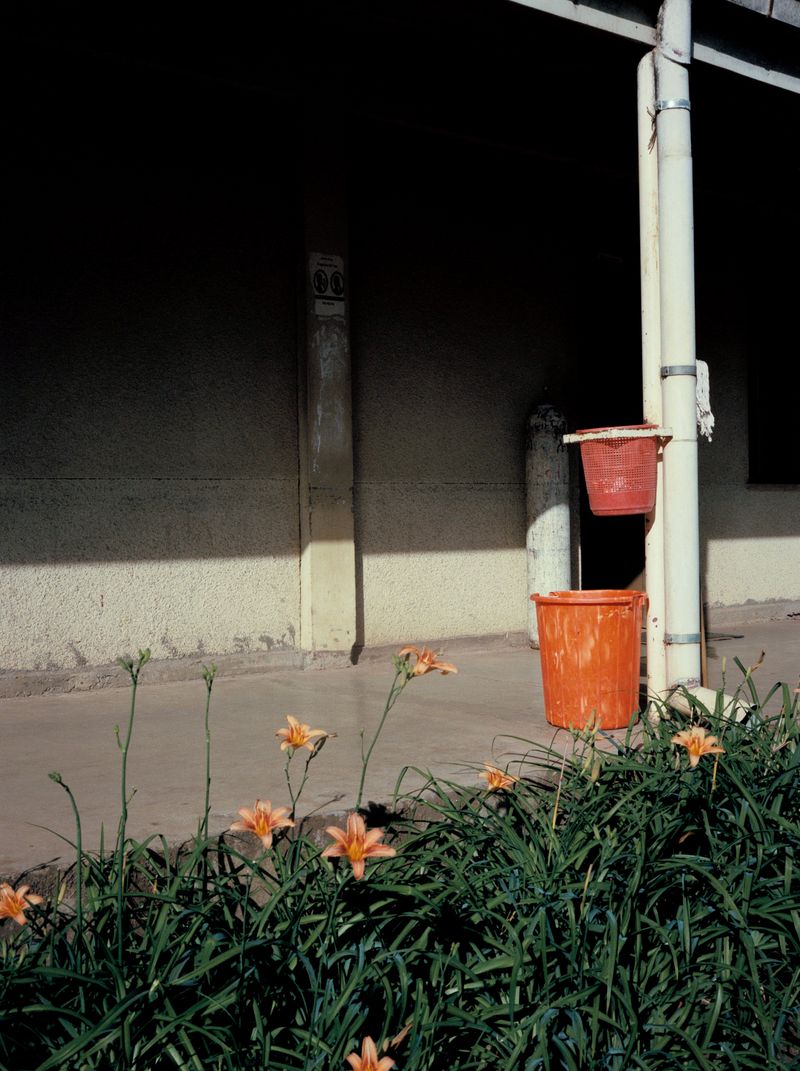 © Alicja Klitenik - Image from the Gardens of Healing photography project