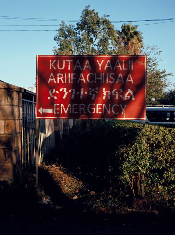 © Alicja Klitenik - Image from the Gardens of Healing photography project