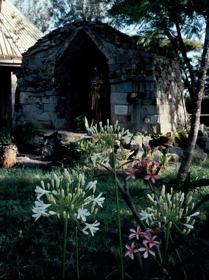 © Alicja Klitenik - Image from the Gardens of Healing photography project