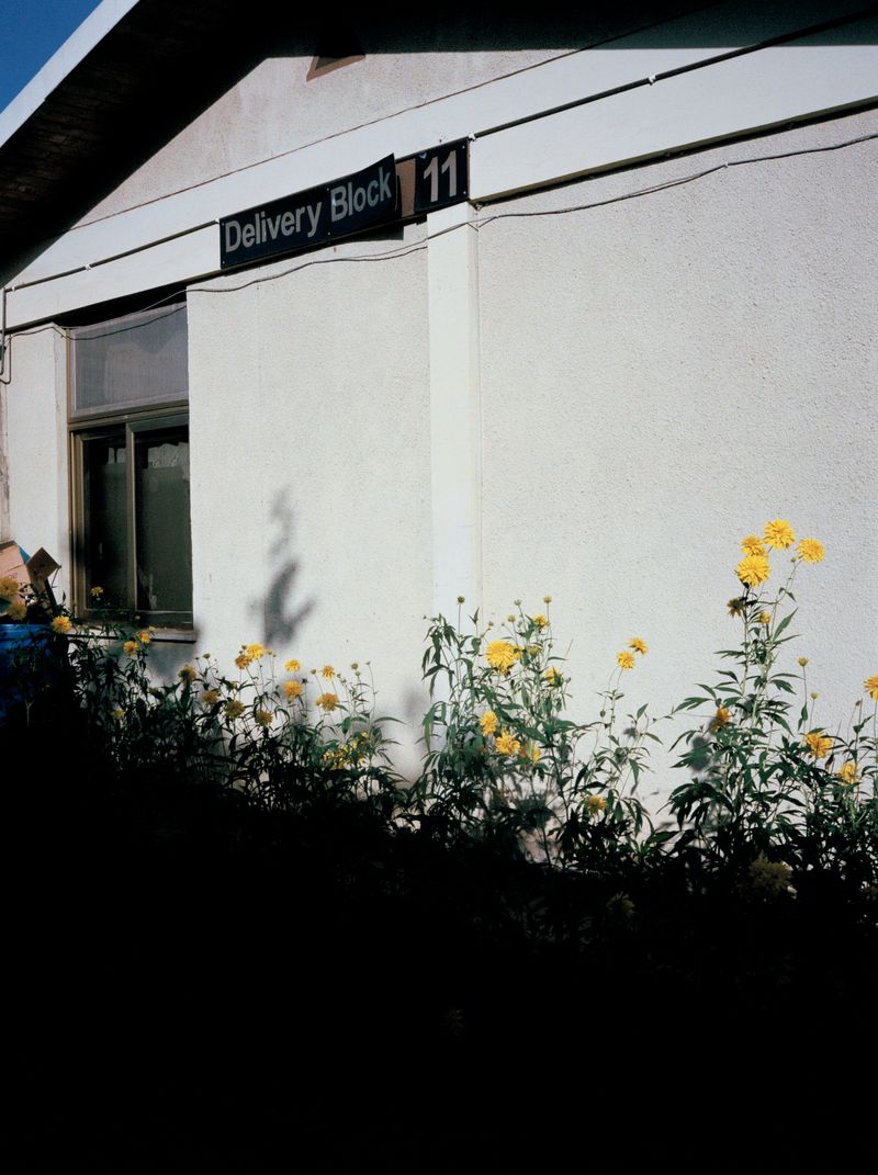 © Alicja Klitenik - Image from the Gardens of Healing photography project