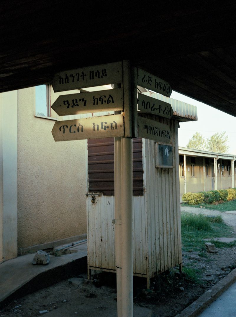 © Alicja Klitenik - Image from the Gardens of Healing photography project