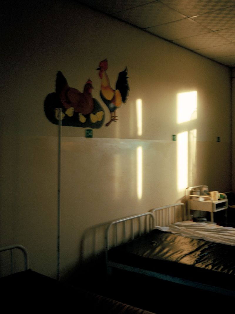 © Alicja Klitenik - Image from the Gardens of Healing photography project